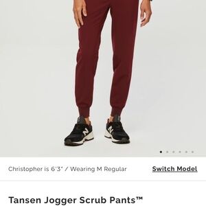 Figs Men's Large Tansen Jogger Scrub Pants Burgundy